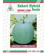Ash Gourd Hybrid Panchhi (Round Type) 50 grams